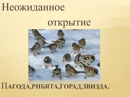 Неожиданно открылась