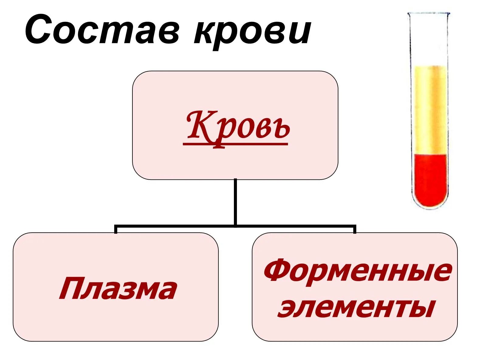 Состоит из плазмы и форменных элементов