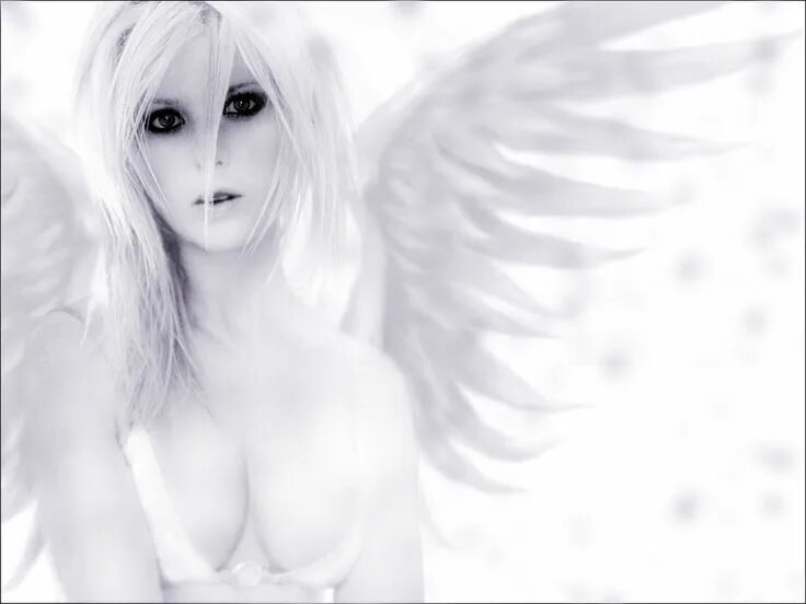White angels emre. Анджелс уайт. Девушка с крыльями вместо рук. Икар ангел. "emre kabak" && ( исполнитель | группа | музыка | music | band | artist ) && (фото | photo).