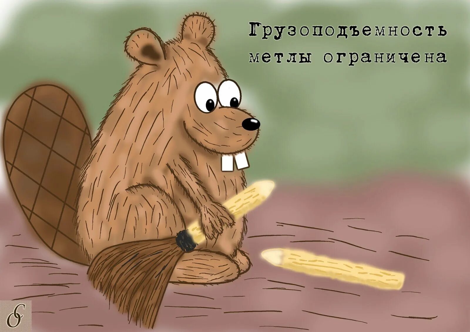 Бобры выражение. Смешные бобры. бобер смешной. картинка бобра прикольная. смешные картинки с бобрами.