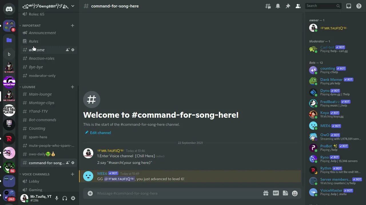 Probot. Probot discord. Pro bot discord. Probot Commands.