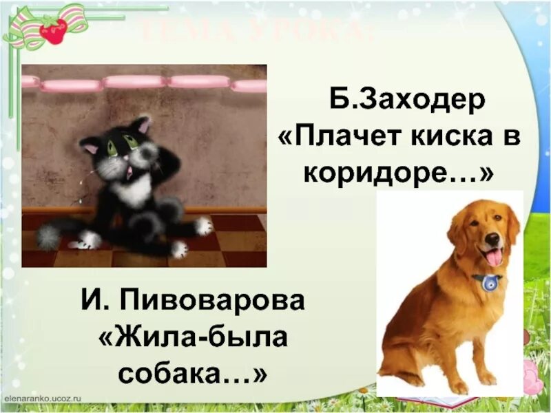 Плачет киска в коридоре. Б Заходер плачет киска в коридоре. Пивовара жила была собака. Плачет киска в коридоре стих 2 класс.