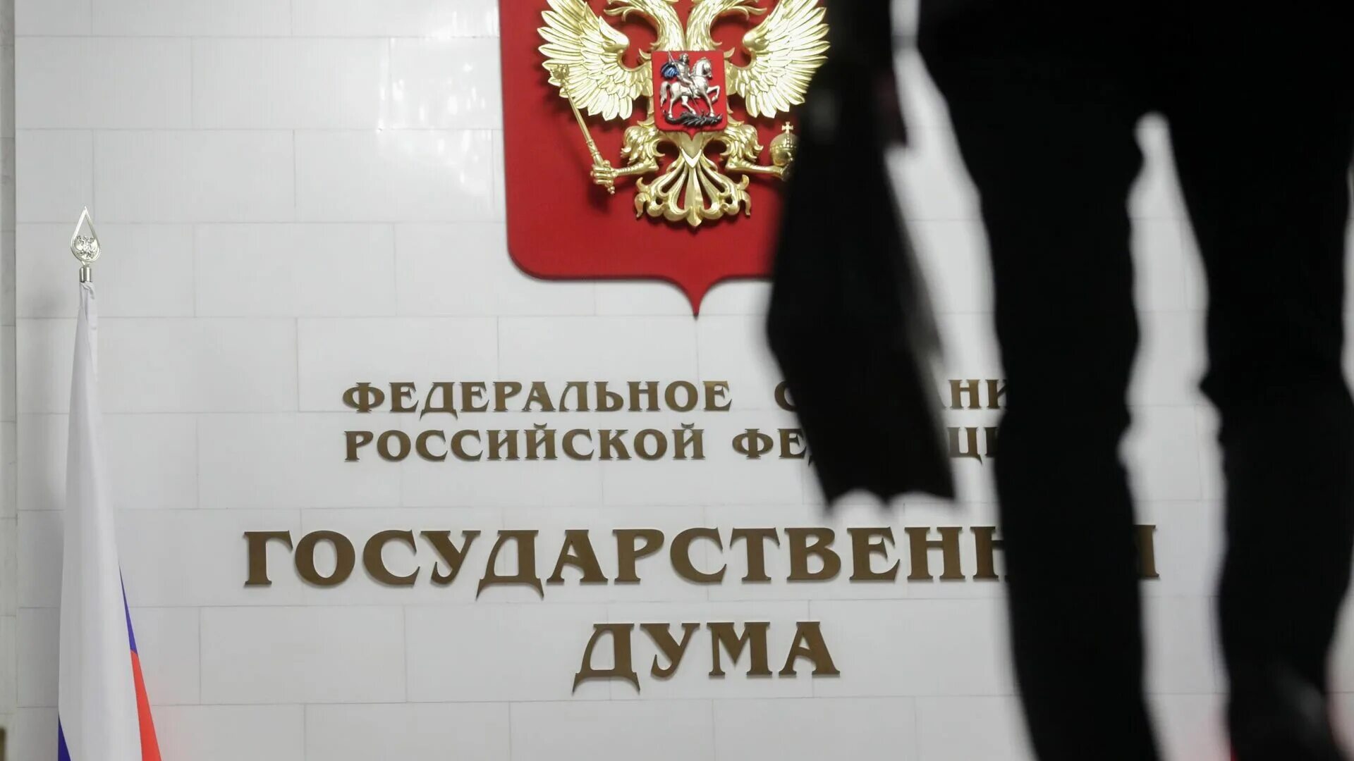 Законопроект вносится в государственную думу. Госдума амнистия картинки. законопроект госдума. законопроекты вносятся в государственную думу. дума приняла закон.