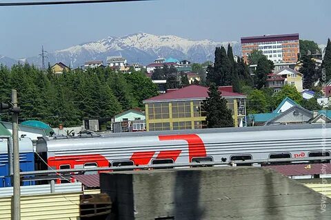 Орел сочи ржд