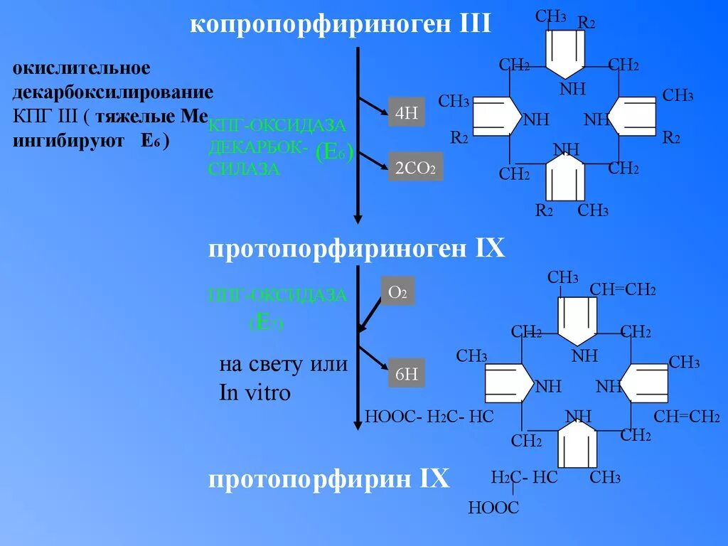 Протопорфириноген IX. Протопорфириноген IX формула. Синтез копропорфириногена 3. Копропорфириноген оксидаза.