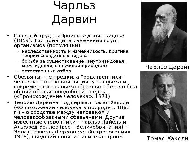 Гипотеза дарвина. Дарвин и его теория. Теория Чарльза Дарвина. Дарвин и его теория происхождения видов.