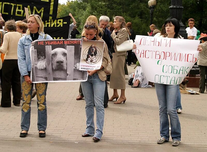 Митинг против убийств животных. Митинг против эвтаназии бездомных животных. Против убийств животных