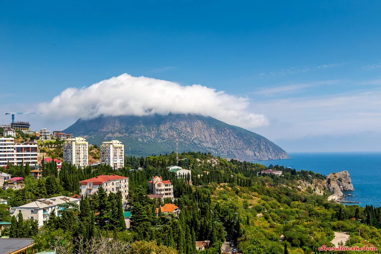 Юбк сайт. ЮБК Южный берег Крыма. Южный берег Крыма Алушта. Крым Ялта ЮБК. Южный берег Ялта.