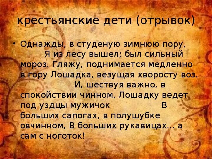 Однажды в студеную зимнюю пору падежи прилагательных