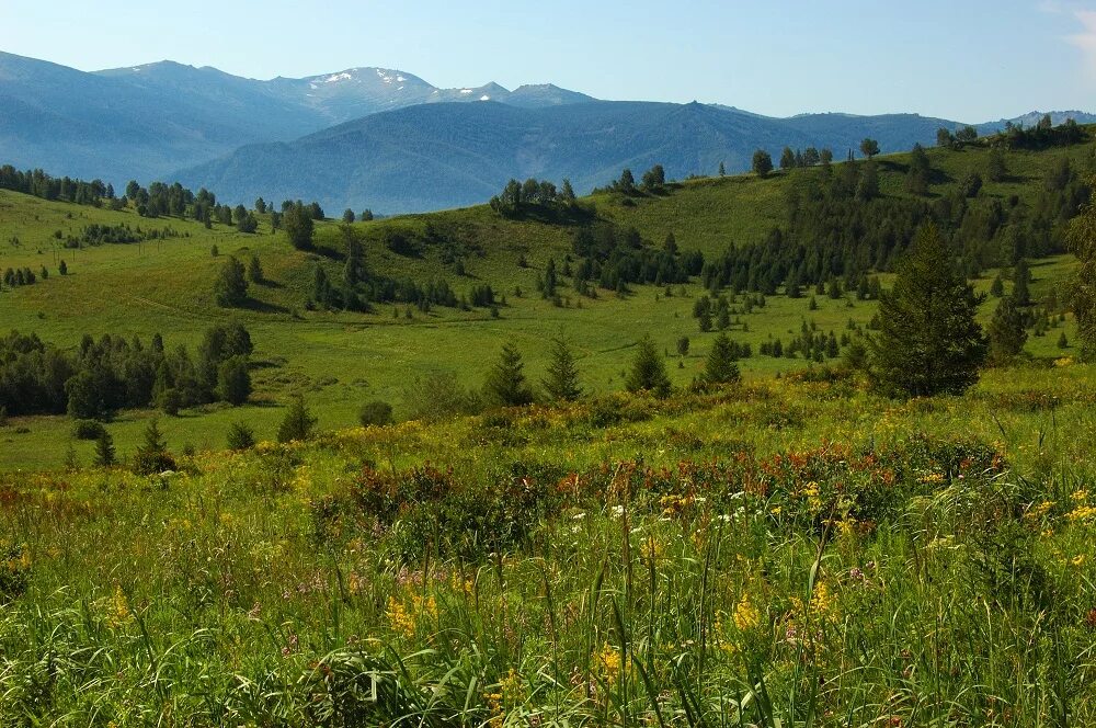 Вепсский лес в ленинградской области осенью. Тайга лесостепи. Восточно-европейская равнина русская равнина. Лесостепи южного урала. Лесостепная зона забайкальского края.