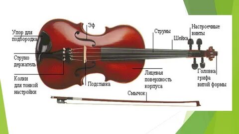 Сколько виолончель