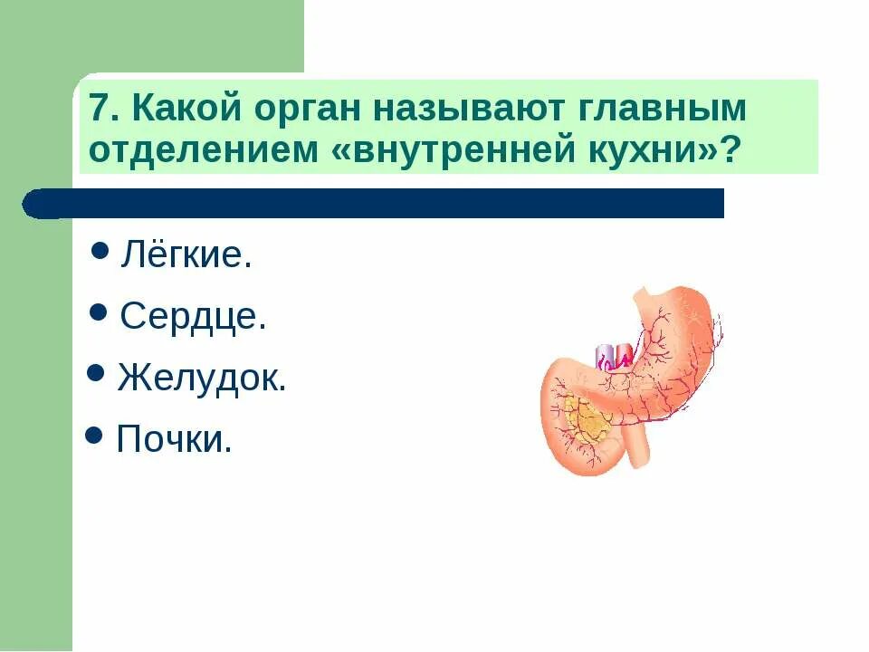 организм человека тест 3 класс окружающий. организм человека проверочная работа.