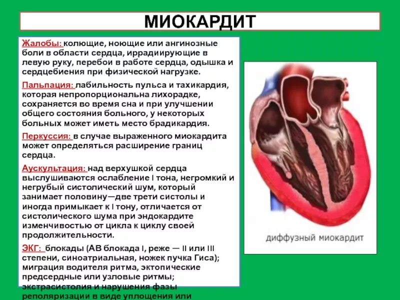 Воспаление сердечной мышцы. Миокардит воспаление сердечной мышцы. Аллергический миокардит. Эндокардит миокардит перикардит. Постинфарктный кардиосклероз окраска гематоксилином и эозином.