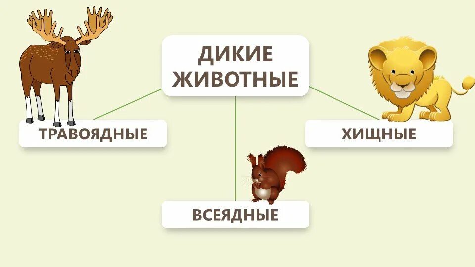 Хищники растительноядные всеядные животные. Хищные и травоядные животные для детей задания. Хищники травоядные всеядные. Дикие и травоядные животные для дошкольников.