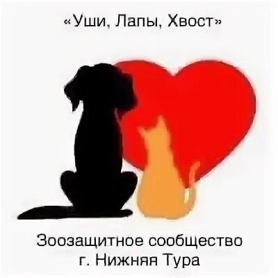 Ухо хвост отрадный