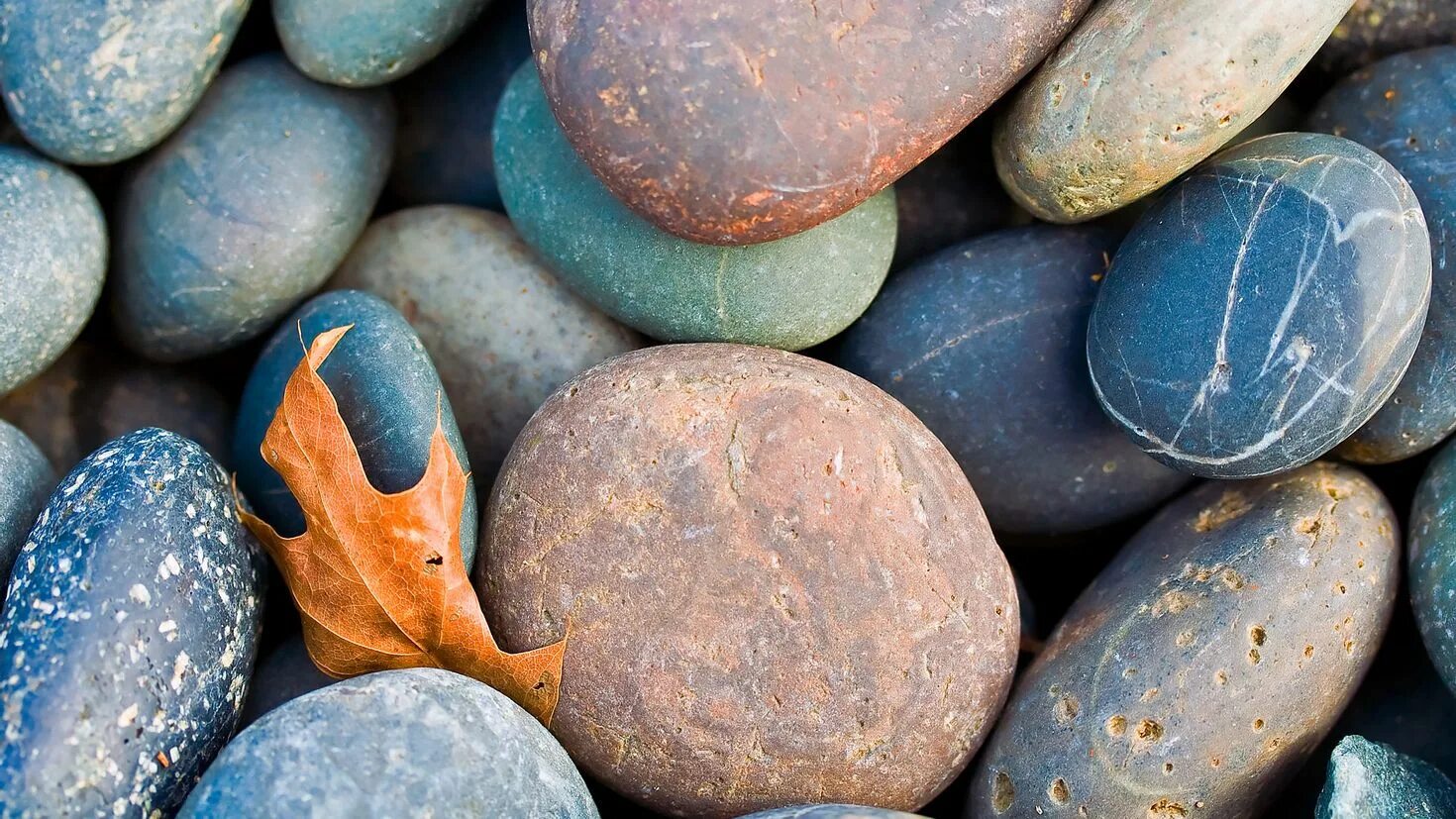 Красивые камушки. Камешки на земле. Морские камни. Камень галька.