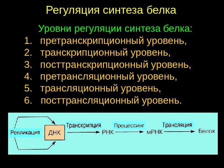 Схема регуляции синтеза белка. Процесс регуляции биосинтеза белка. Синтез белка биохимия схема. Регуляция синтеза белка. Процесс регуляции биосинтеза белка.