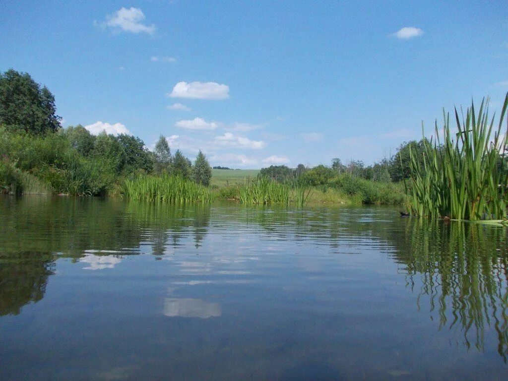 Устье салдыбаш. Исток реки салдыбаш.