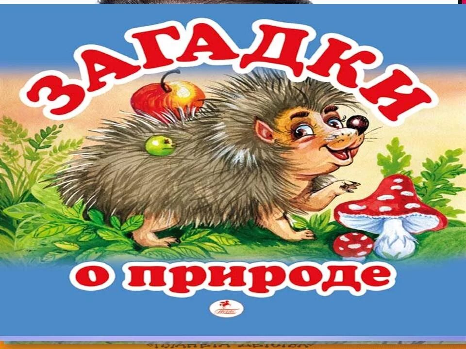 Загадки природы. Загадки о природе для детей. Загадки о природе для дошкольников. Загадки про природу для малышей. Загадка слушать можно