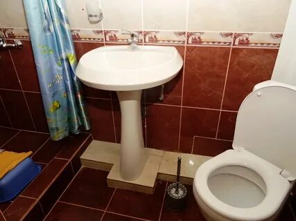 Самшит адлер гостевой