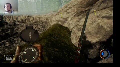 The forest кратер