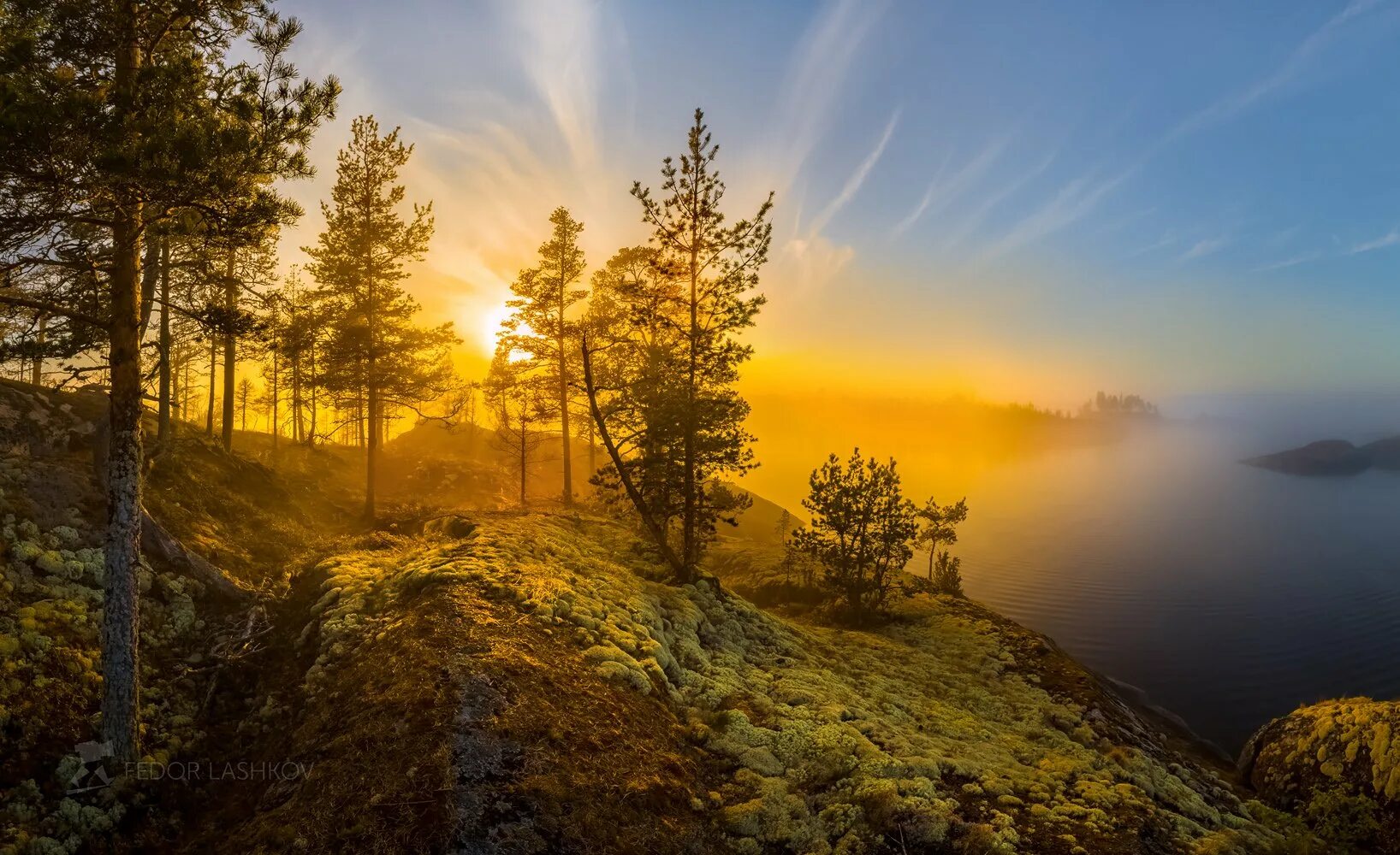 Природа в коричневых оттенках. Пейзаж скалы рассвет. Сухое дерево. Красивые скалы. Рассвет в скалах.