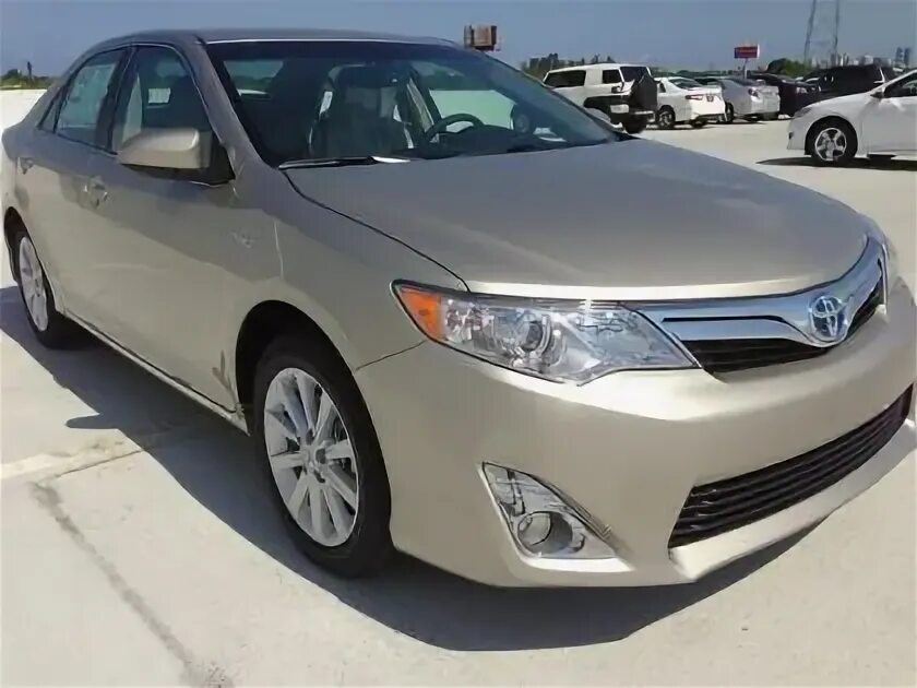 Toyota Camry 2012 серая. Toyota Camry XLE 2013. Тойота Камри 2 XLE. Camry XLE Hybrid 2013.