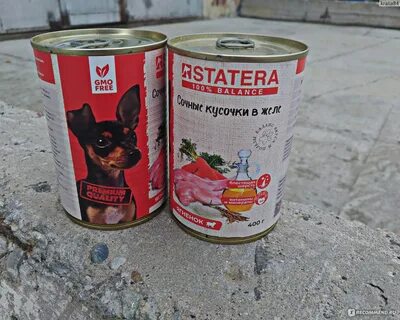 Корм российского производства лучший