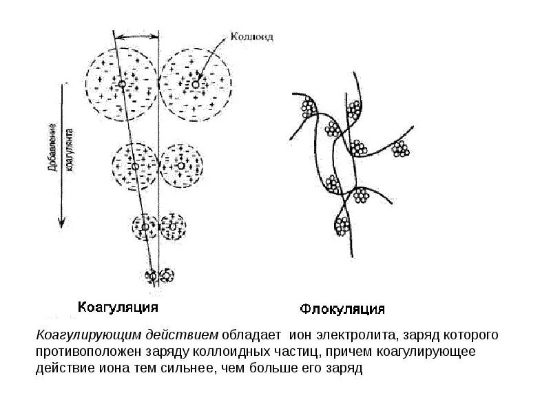 Слипание коллоидных частиц. Коагуляция и флокуляция схема. Коагуляция схема процесса. Флокуляция схема. Реакция флокуляции механизм.