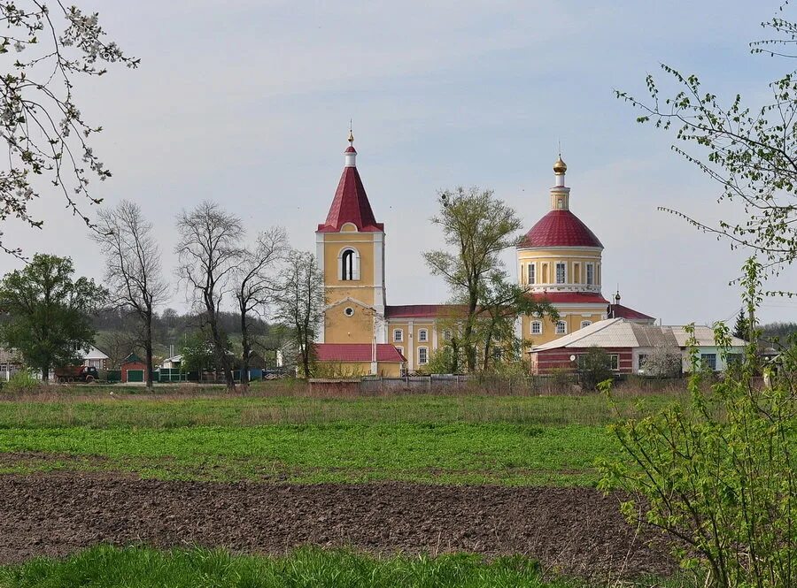 Посёлок стригуны улица заречная. Село стригуны. Белгородская село стригуны. Белгородская село стригуны. Белгородская село стригуны.