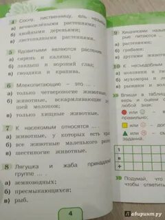 Уровневые задания по окружающему миру