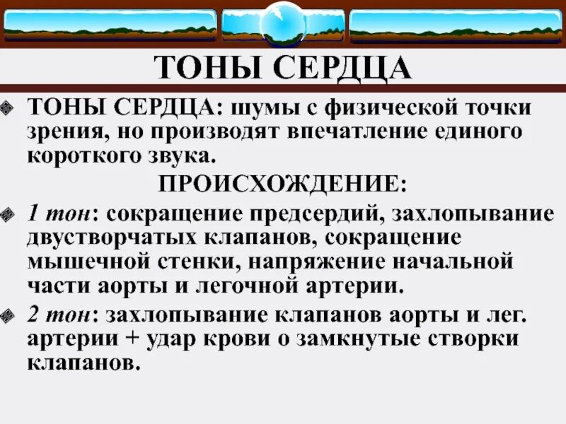 Сердечные тоны шумы. Тоны и шумы сердца. Аускультация сердца тоны и шумы сердца. Тоны сердца шумы сердца. Аускультация сердца ТОНВ И шумы.