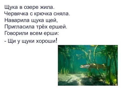Щука обитает в озере