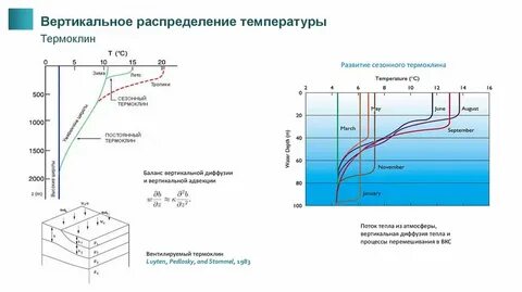Термоклин