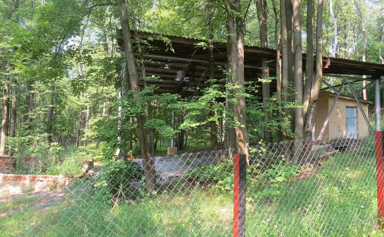 Березка тульская область. Лагерь березка тула. Лагерь березка тульская область. Тульский лагерь березка. База отдыха березка нижегородская область.