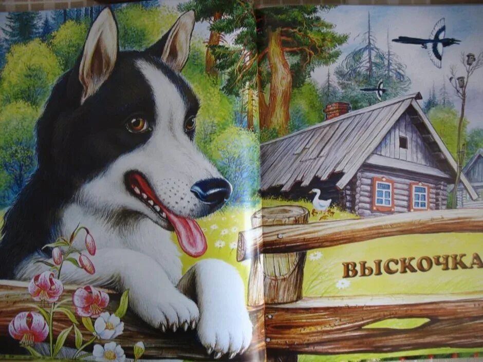 Собака из рассказа выскочка. Собака из рассказа выскочка. Выскочка пришвин 4 класс. Пришвин вьюшка и выскочка. Иллюстрация вьюшка пришвин.