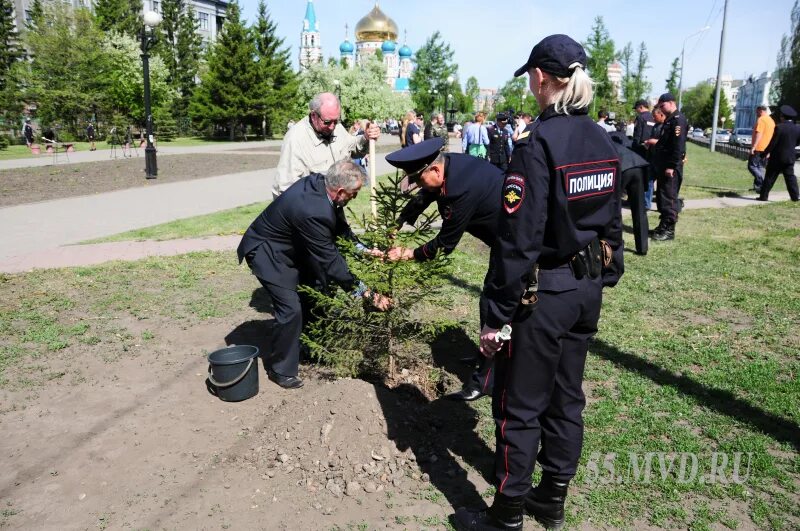 Оконешниково полиция. Аллея памяти высадка деревьев. Аллея памяти сотрудников УМВД России по Приморскому району. Аллея памяти Омск. 5 мая омск