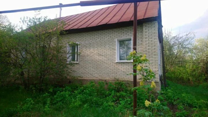 Лунино пензенская область. Лунино курская область деревня. чертеим лунино пензенской. лунино дуб. володарск ул полевая 15а.