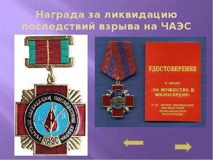 Участник ликвидации последствий аварии