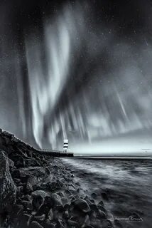 Северная черно