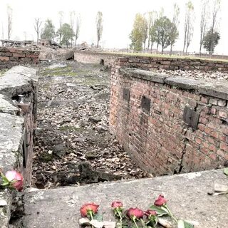 Концлагерь в польше