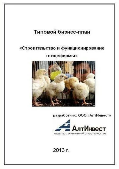 Разведение бройлеров бизнес план. Бизнес план для разведения кур несушек. Бизнес план птицефермы 2020. Бизнес план разведение птиц. Бизнес план разведение птицы в домашних условиях.