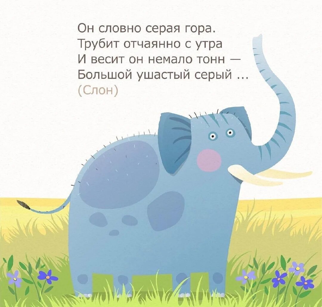 Загадка маленький серенький на слона похож кто. Серый маленький зверюшка косоглазый длинноушка загадка. Маленький серенький на слона похож. Загадка маленький серенький на слона похож кто. Загадка маленький серенький на слона похож кто.