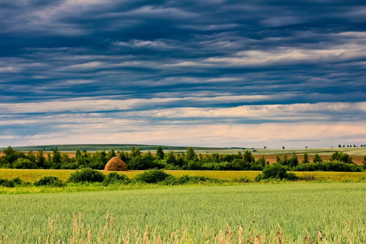 Просторы алтайского края