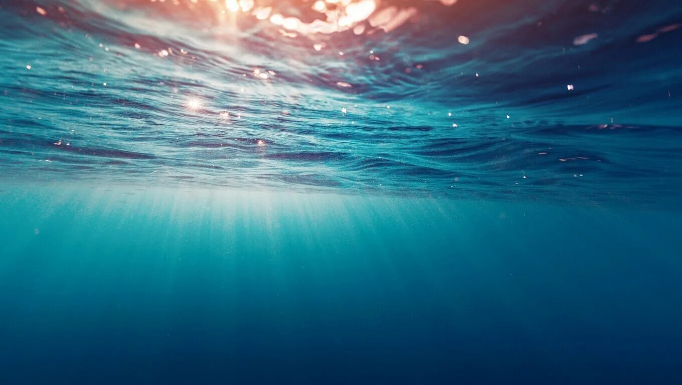 I live in the sea