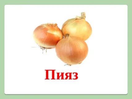 Жыныстық пискаға су құйылды