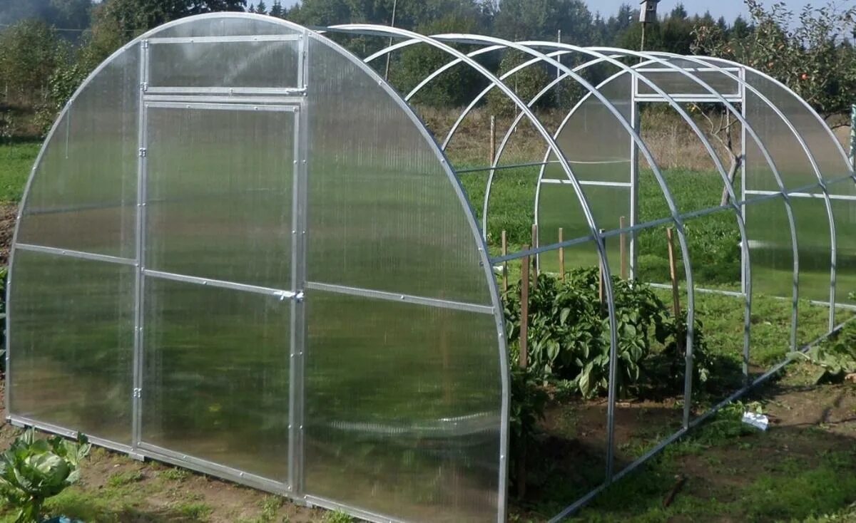 Теплица дачница усиленная оптима. Теплица 3 на 4 из поликарбоната в леруа мерлен. Производство теплиц. Производство теплиц. Производство теплиц.