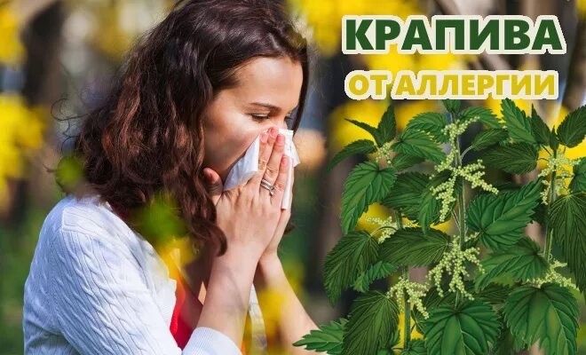 Вылечить аллергию народными