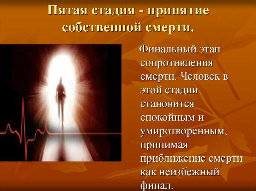 Какие стадии проходит человек. Пять этапов принятия смерти. стадии принятия человека. стадии принятия смерти в психологии. психологические стадии принятия смерти.