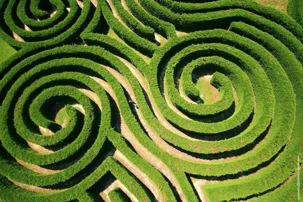 Дом лабиринт из которого невозможно выбраться. Лабиринт ashcombe maze. лабиринт из живой изгороди изнутри. лабиринт живая изгородь вид сверху. лабиринт из живой изгороди вид сверху.